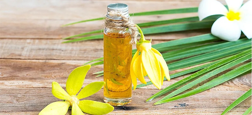 The Power of Ylang Ylang: Unveiling Its Secrets